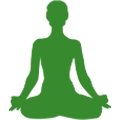 vinyasa yoga 378a2f